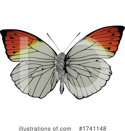 Royalty-Free (RF) Butterfly Clipart Illustration by dero - Stock Sample #1741148