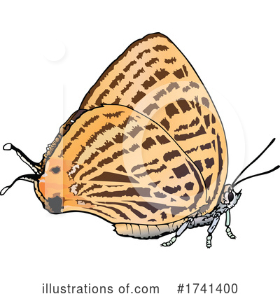 Royalty-Free (RF) Butterfly Clipart Illustration by dero - Stock Sample #1741400
