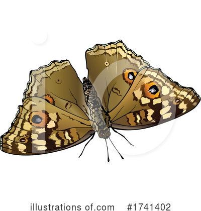 Royalty-Free (RF) Butterfly Clipart Illustration by dero - Stock Sample #1741402