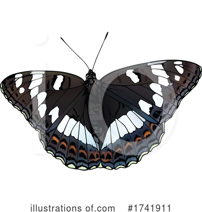 Royalty-Free (RF) Butterfly Clipart Illustration by dero - Stock Sample #1741911