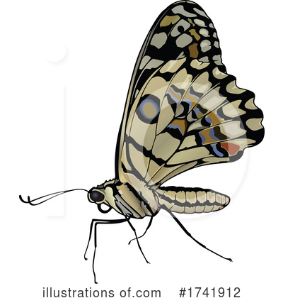 Royalty-Free (RF) Butterfly Clipart Illustration by dero - Stock Sample #1741912