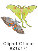 Butterfly Clipart #212171 by visekart