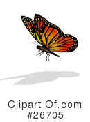 Butterfly Clipart #26705 by KJ Pargeter