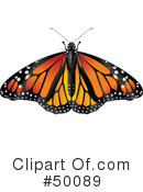 Butterfly Clipart #50089 by Pushkin
