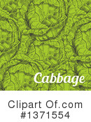 Cabbage Clipart #1371554 by Vector Tradition SM
