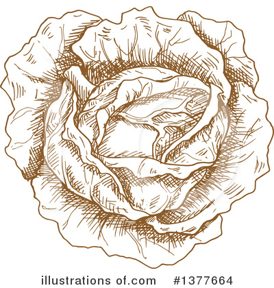 Royalty-Free (RF) Cabbage Clipart Illustration by Vector Tradition SM - Stock Sample #1377664