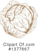 Cabbage Clipart #1377667 by Vector Tradition SM