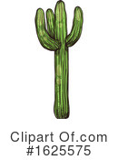 Cactus Clipart #1625575 by Vector Tradition SM