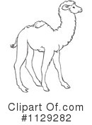 Camel Clipart #1129282 by Picsburg
