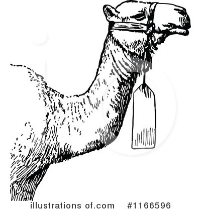 Royalty-Free (RF) Camel Clipart Illustration by Prawny Vintage - Stock Sample #1166596