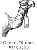 Camel Clipart #1166596 by Prawny Vintage