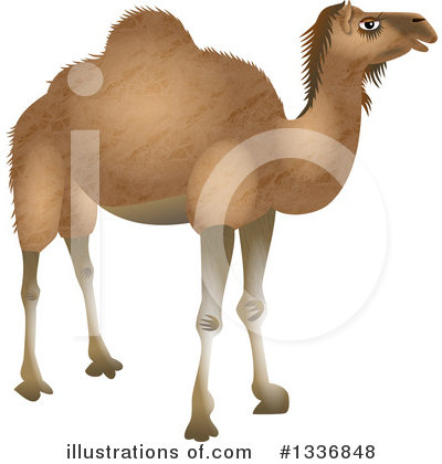 Royalty-Free (RF) Camel Clipart Illustration by Prawny - Stock Sample #1336848