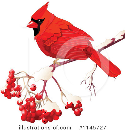 Royalty-Free (RF) Cardinal Clipart Illustration by Pushkin - Stock Sample #1145727