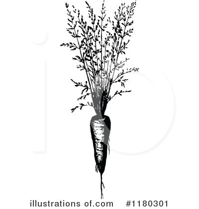 Royalty-Free (RF) Carrot Clipart Illustration by Prawny Vintage - Stock Sample #1180301