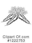 Carrot Clipart #1222753 by AtStockIllustration