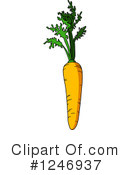 Carrot Clipart #1246937 by Vector Tradition SM