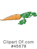 Carrot Clipart #45678 by pauloribau