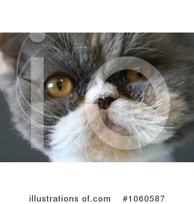 Royalty-Free (RF) Cat Clipart Illustration by Kenny G Adams - Stock Sample #1060587