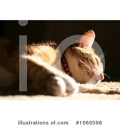 Royalty-Free (RF) Cat Clipart Illustration by Kenny G Adams - Stock Sample #1060596