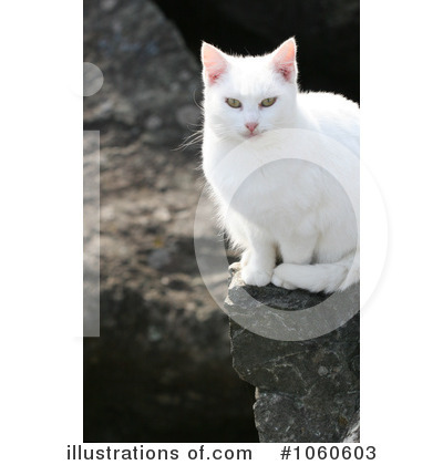 Royalty-Free (RF) Cat Clipart Illustration by Kenny G Adams - Stock Sample #1060603