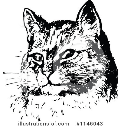 Royalty-Free (RF) Cat Clipart Illustration by Prawny Vintage - Stock Sample #1146043