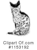 Cat Clipart #1153192 by lineartestpilot
