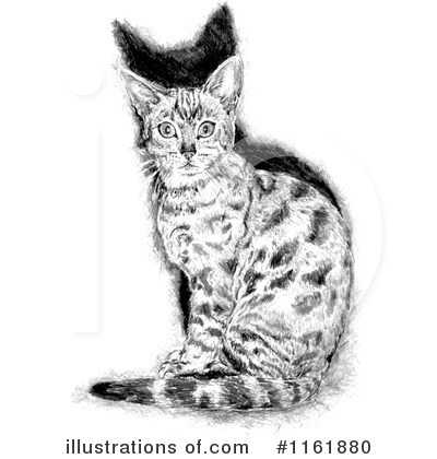 Royalty-Free (RF) Cat Clipart Illustration by lineartestpilot - Stock Sample #1161880