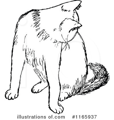 Royalty-Free (RF) Cat Clipart Illustration by Prawny Vintage - Stock Sample #1165937