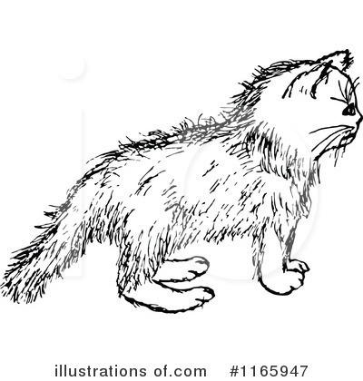 Royalty-Free (RF) Cat Clipart Illustration by Prawny Vintage - Stock Sample #1165947