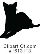 Cat Clipart #1613113 by AtStockIllustration