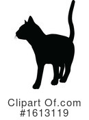 Cat Clipart #1613119 by AtStockIllustration
