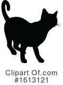 Cat Clipart #1613121 by AtStockIllustration