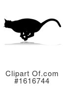 Cat Clipart #1616744 by AtStockIllustration