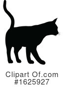 Cat Clipart #1625927 by AtStockIllustration