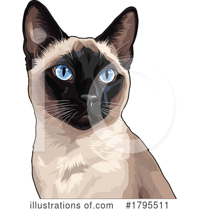 Siamese Cat Clipart #1795511 by stockillustrations