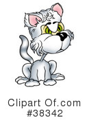 Cat Clipart #38342 by dero