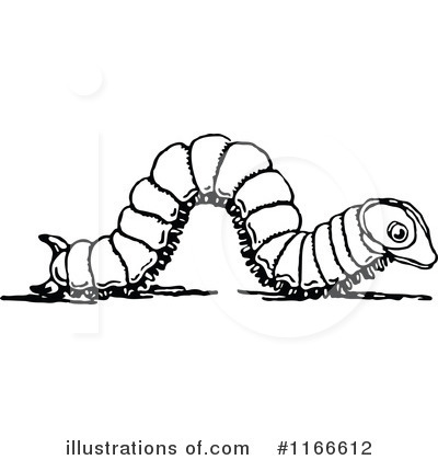 Insects Clipart #1166612 by Prawny Vintage