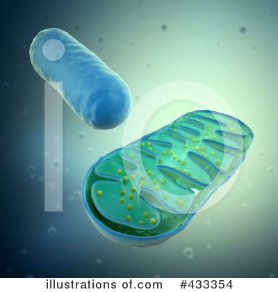 Cells Clipart #433354 by Mopic