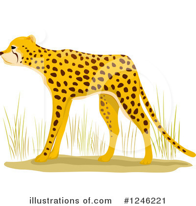 Cheetah Clipart #1246221 by BNP Design Studio