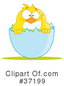 Chick Clipart #37199 by Hit Toon