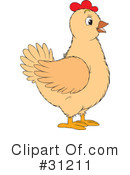 Chickens Clipart #31211 by Alex Bannykh