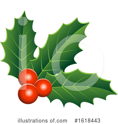 Holly Clipart #1618443 by cidepix