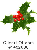 Christmas Holly Clipart #1432838 by Pushkin