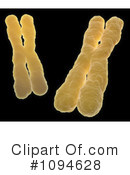 Chromosome Clipart #1094628 by Mopic