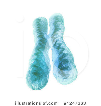 Royalty-Free (RF) Chromosome Clipart Illustration by Mopic - Stock Sample #1247363