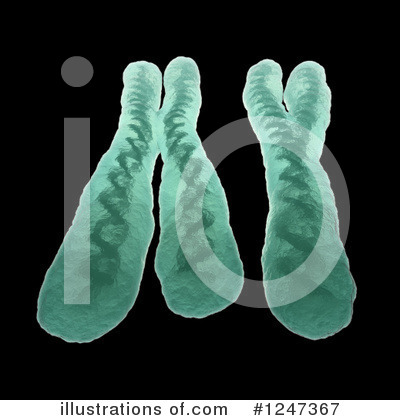 Royalty-Free (RF) Chromosome Clipart Illustration by Mopic - Stock Sample #1247367