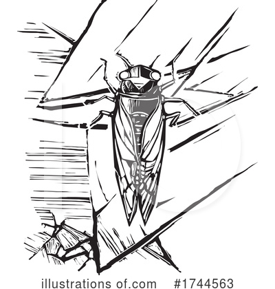 Royalty-Free (RF) Cicada Clipart Illustration by xunantunich - Stock Sample #1744563