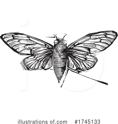 Royalty-Free (RF) Cicada Clipart Illustration by xunantunich - Stock Sample #1745133