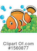 Clownfish Clipart #1560877 by visekart