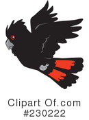 Cockatoo Clipart #230222 by Dennis Holmes Designs